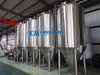40hl Top Manway Fermenter
