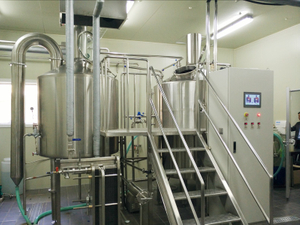 Пивоваренная система с двумя емкостями 10BBL