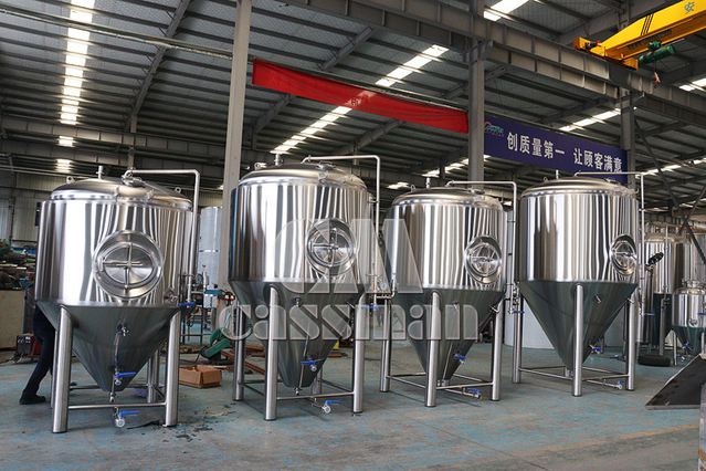 1000L Microbrewery Fermenter