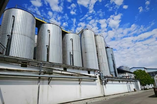 Промышленный ЦКТ 50–500 м³ | Крупный ферментёр для регионального пивзавода, мультизонный гликоль, CIP автомат