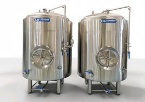 Форфас (BBT) от 100 до 10000 л | Осветлительный танк для карбонизации и выдержки пива, SUS304