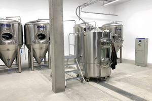 Однокорпусная пивоварня «всё в одном» 100–1000 л | Компактный варочный порядок с вертикальной компоновкой